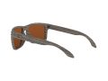 Oakley Holbrook Naočare za sunce 9102 J8