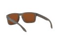 Oakley Holbrook Naočare za sunce 9102 J8