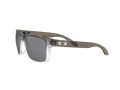 Oakley Holbrook Naočare za sunce 9102 O2