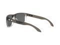 Oakley Holbrook Naočare za sunce 9102 O2
