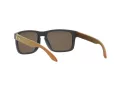 Oakley Holbrook Naočare za sunce OO 9102 W4