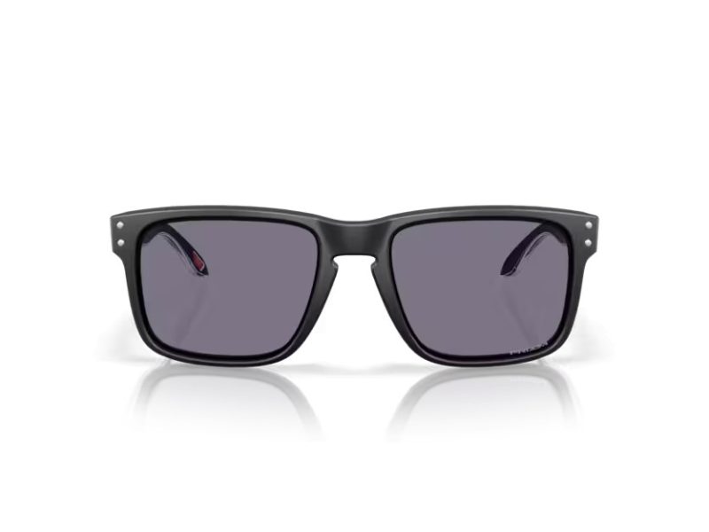 Oakley Holbrook Naočare za sunce OO 9102 Z3
