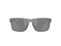 Oakley Holbrook Naočare za sunce OO 9102 Z4