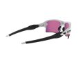 Oakley Flak 2.0 Xl Naočare za sunce OO 9188 03
