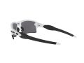 Oakley Flak 2.0 Xl Naočare za sunce OO 9188 81