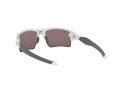 Oakley Flak 2.0 Xl Naočare za sunce OO 9188 94