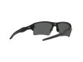 Oakley Flak 2.0 Xl Naočare za sunce OO 9188 96