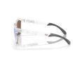 Oakley Frogskins Range Naočare za sunce OO 9284 12