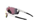 Oakley Jawbreaker Naočare za sunce OO 9290 05