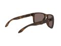 Oakley Holbrook Xl Naočare za sunce OO 9417 02