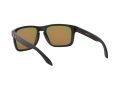 Oakley Holbrook Xl Naočare za sunce OO 9417 04