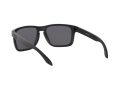 Oakley Holbrook Xl Naočare za sunce OO 9417 05