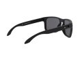 Oakley Holbrook Xl Naočare za sunce OO 9417 05