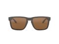 Oakley Holbrook Xl Naočare za sunce OO 9417 06