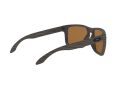 Oakley Holbrook Xl Naočare za sunce OO 9417 06