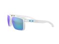 Oakley Holbrook Xl Naočare za sunce OO 9417 07