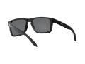 Oakley Holbrook Xl Naočare za sunce OO 9417 16