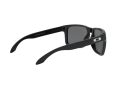 Oakley Holbrook Xl Naočare za sunce OO 9417 16