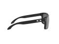 Oakley Holbrook Xl Naočare za sunce OO 9417 16