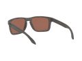 Oakley Holbrook Xl Naočare za sunce OO 9417 19