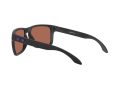 Oakley Holbrook Xl Naočare za sunce OO 9417 20