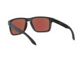 Oakley Holbrook Xl Naočare za sunce OO 9417 20