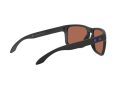 Oakley Holbrook Xl Naočare za sunce OO 9417 20