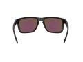 Oakley Holbrook Xl Naočare za sunce OO 9417 21