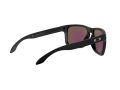 Oakley Holbrook Xl Naočare za sunce OO 9417 21