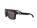 Oakley Holbrook Xl Naočare za sunce OO 9417 22