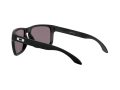 Oakley Holbrook Xl Naočare za sunce OO 9417 22