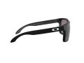 Oakley Holbrook Xl Naočare za sunce OO 9417 22