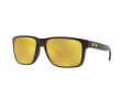 Oakley Holbrook Xl Naočare za sunce OO 9417 23