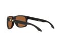 Oakley Holbrook Xl Naočare za sunce OO 9417 23