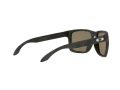 Oakley Holbrook Xl Naočare za sunce OO 9417 29