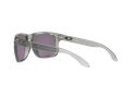 Oakley Holbrook Xl Naočare za sunce OO 9417 33