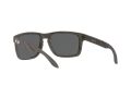 Oakley Holbrook Xl Naočare za sunce OO 9417 34