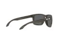 Oakley Holbrook Xl Naočare za sunce OO 9417 34