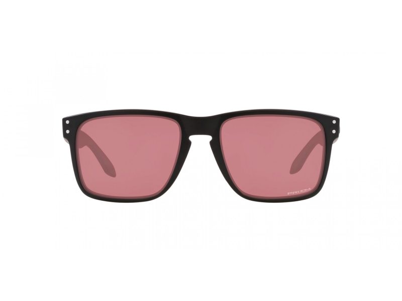 Oakley Holbrook Xl Naočare za sunce OO 9417 35