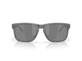 Oakley Holbrook Xl Naočare za sunce OO 9417 50