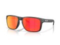 Oakley Holbrook Xxl Naočare za sunce OO 9487 06