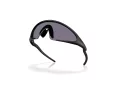 Oakley Ellipse Naočare za sunce OO 9490 01