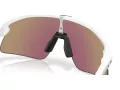 Oakley Stunt Devil Naočare za sunce OO 9517 04