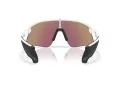 Oakley Stunt Devil Naočare za sunce OO 9517 04