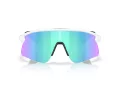 Oakley Stunt Devil S Naočare za sunce OO 9518 04