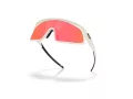 Oakley Rslv 141 Naočare za sunce OO 9524D 952405
