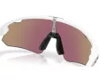 Oakley Stunt Devil A Naočare za sunce OO 9525 02