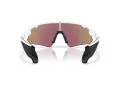Oakley Stunt Devil A Naočare za sunce OO 9525 02