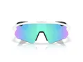 Oakley Stunt Devil A Naočare za sunce OO 9525 02