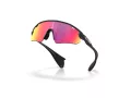 Oakley Stunt Devil A Naočare za sunce OO 9525 03